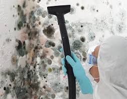 Why You Should Choose Our Mold Remediation Services in Henry, IL